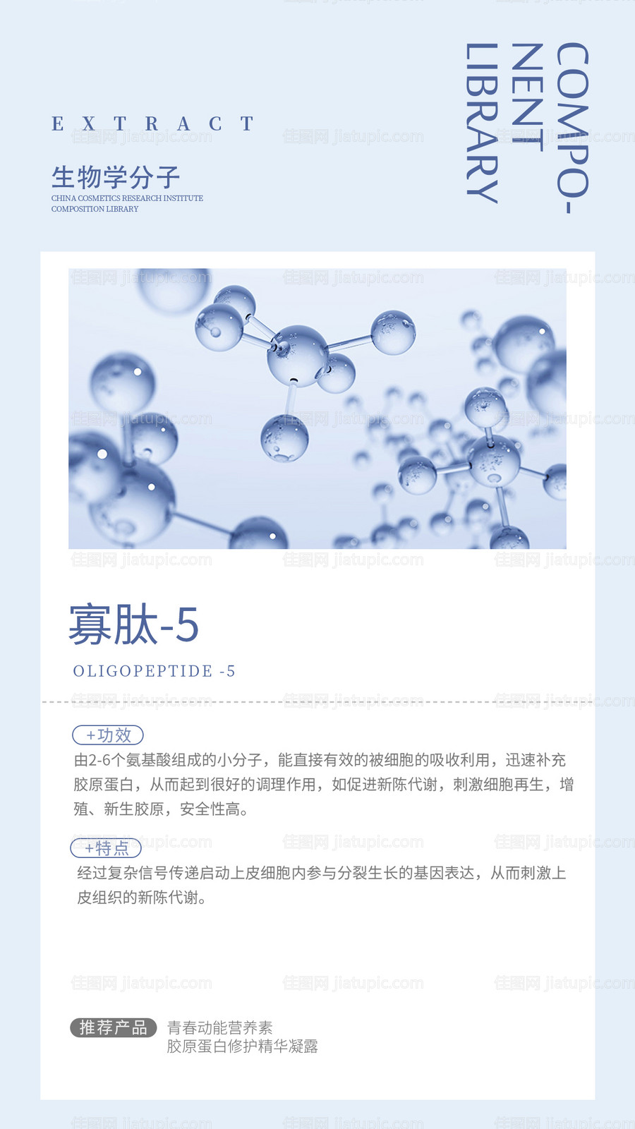 生物学分子海报-源文件