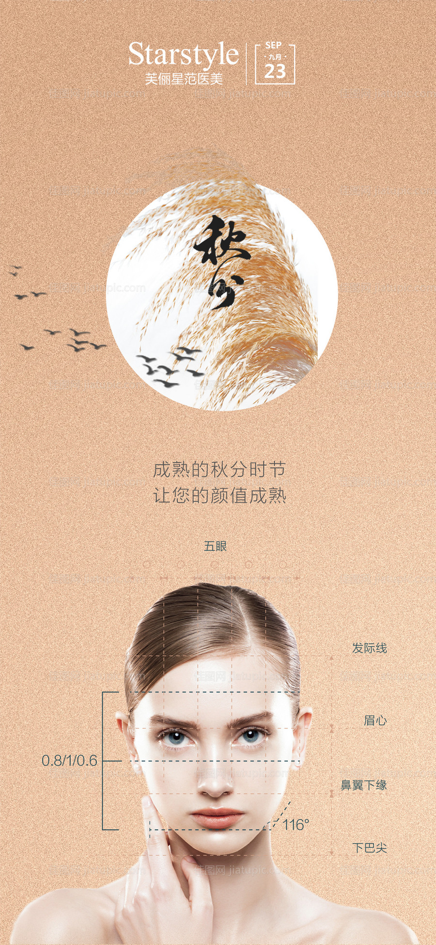 秋分海报-源文件