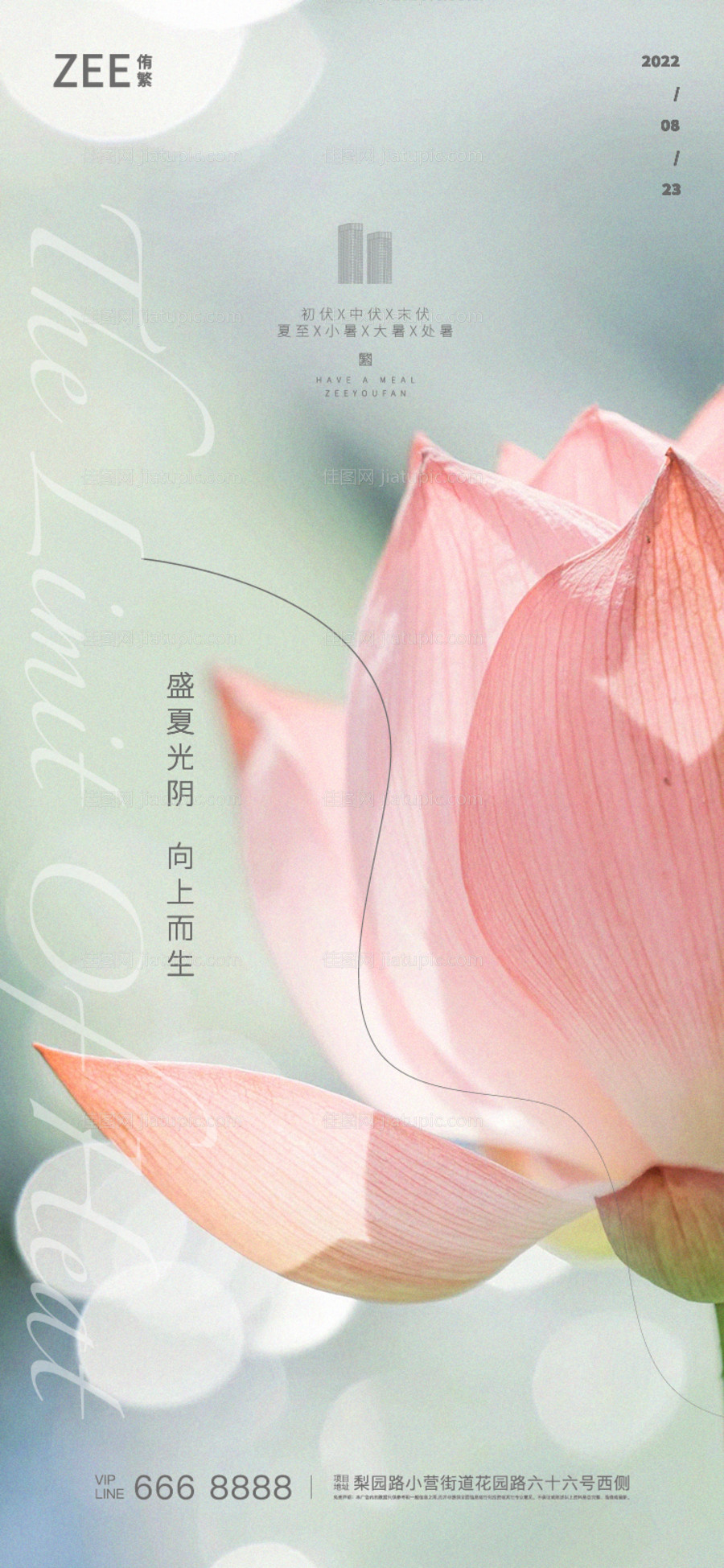 大暑海报-源文件