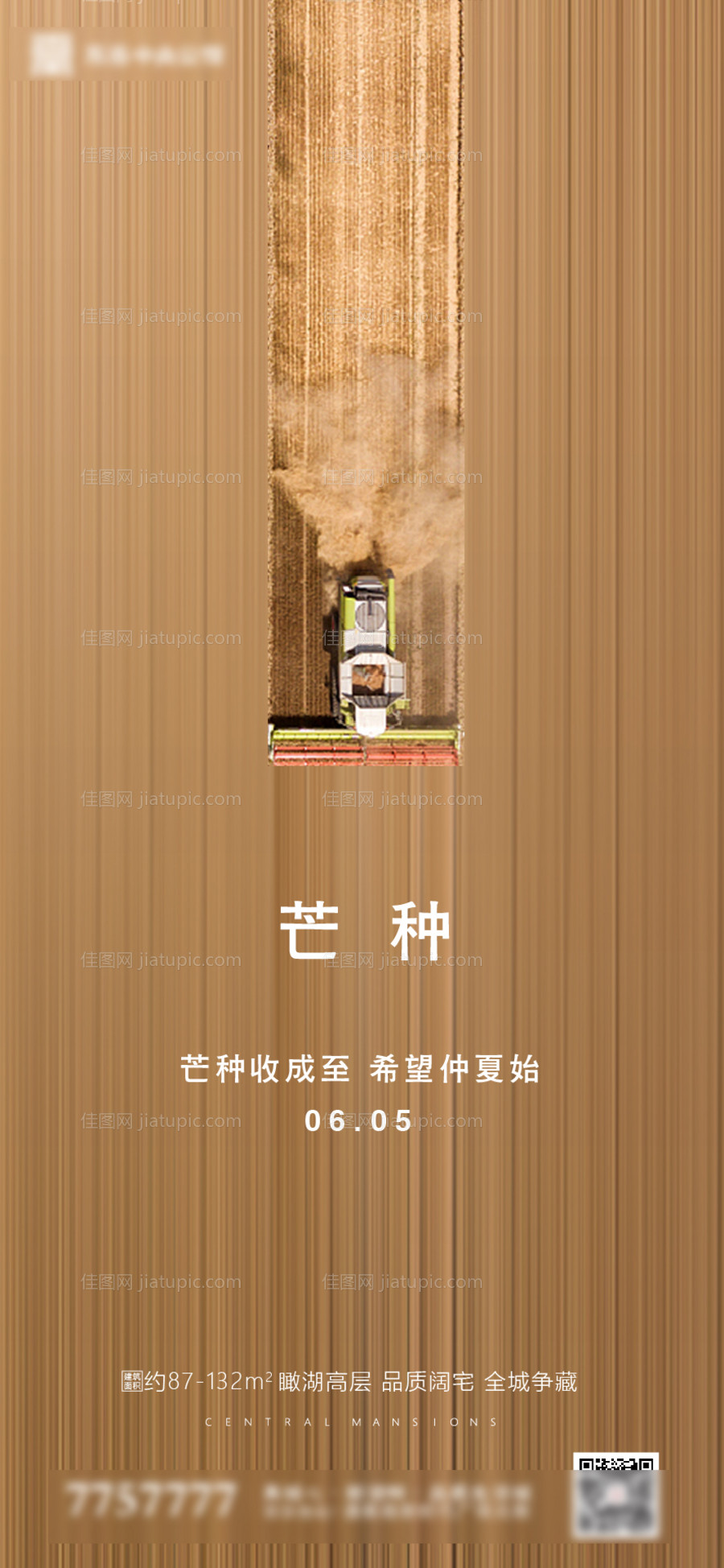 房地产芒种节气海报-源文件