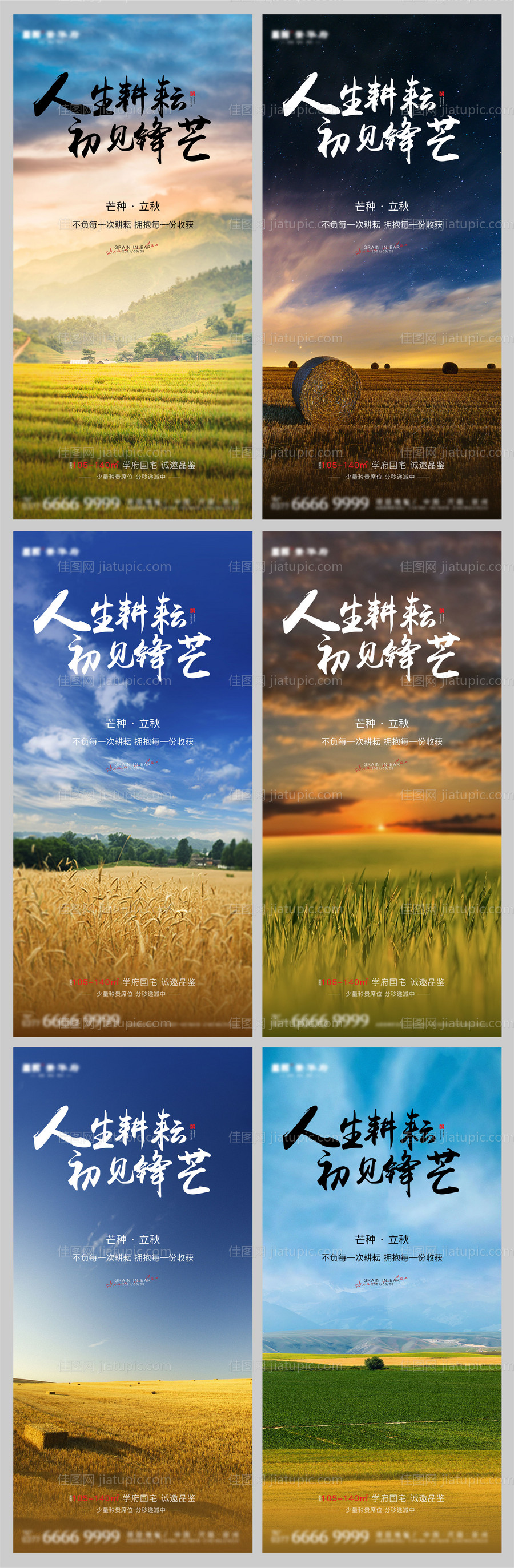 芒种立秋节气系列海报-源文件