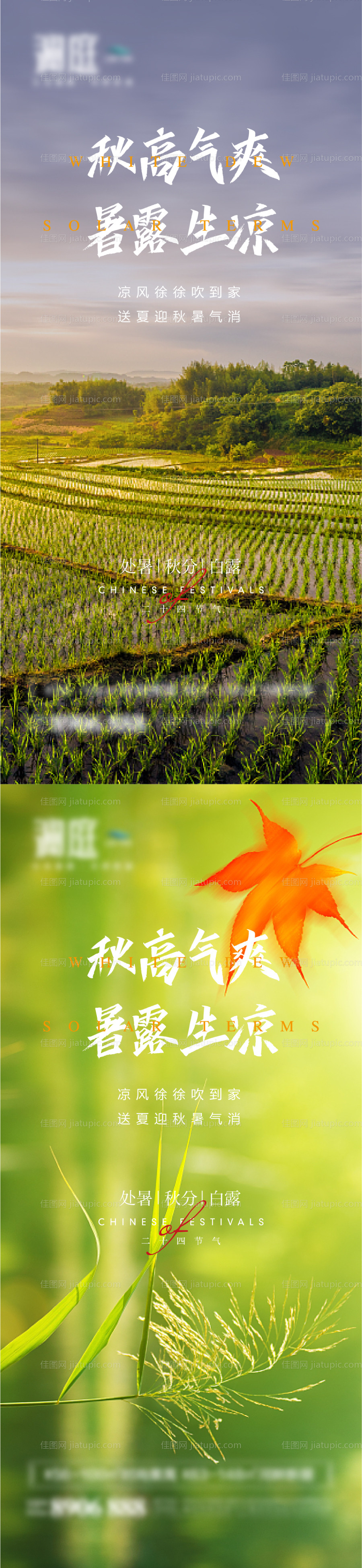 处暑白露秋分节气海报-源文件