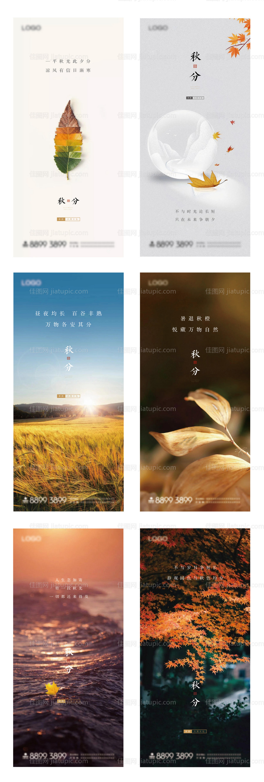 秋分节气微信系列海报-源文件