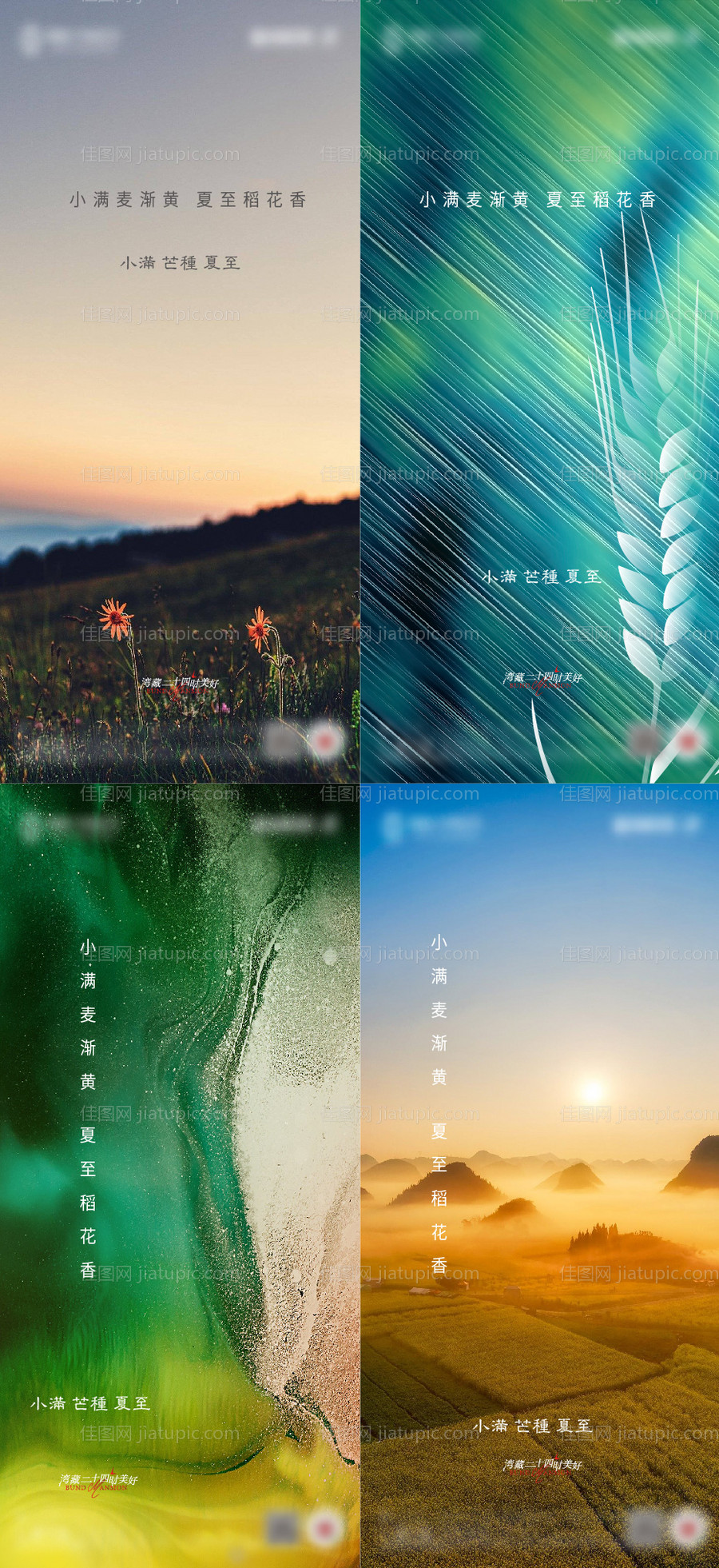 小满芒种夏至节气系列海报-源文件