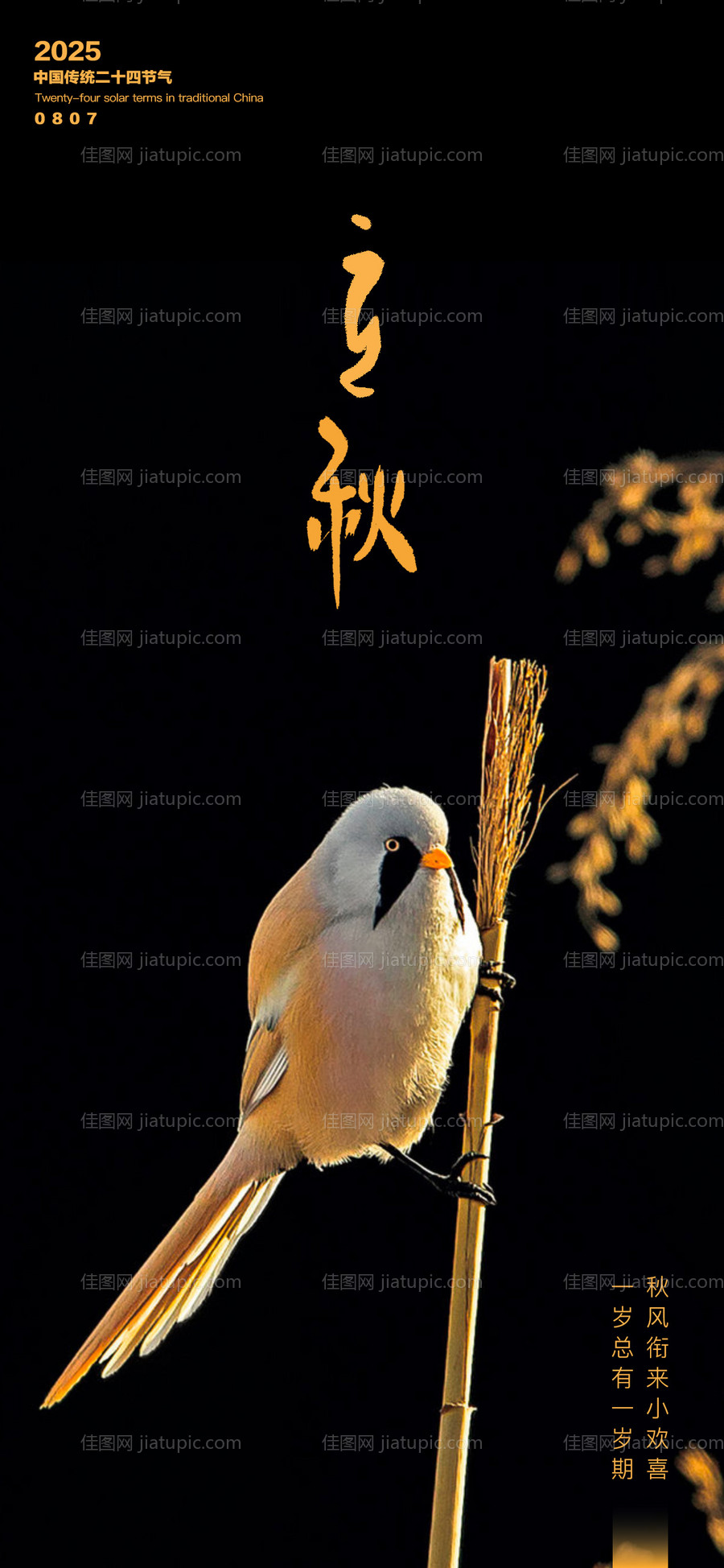 海报立秋传统二十四节气黑黄-源文件