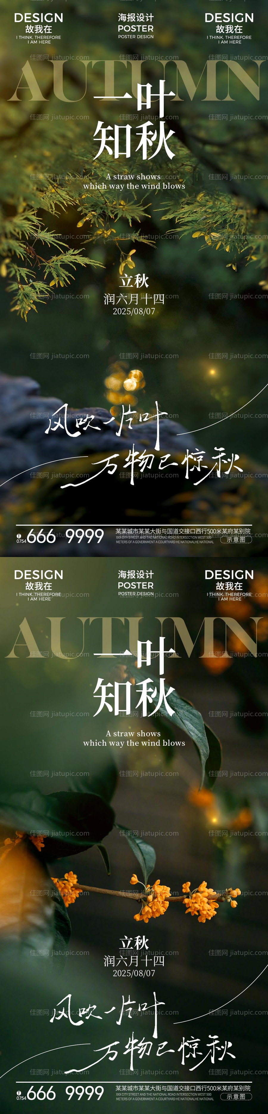 立秋节气系列海报-源文件