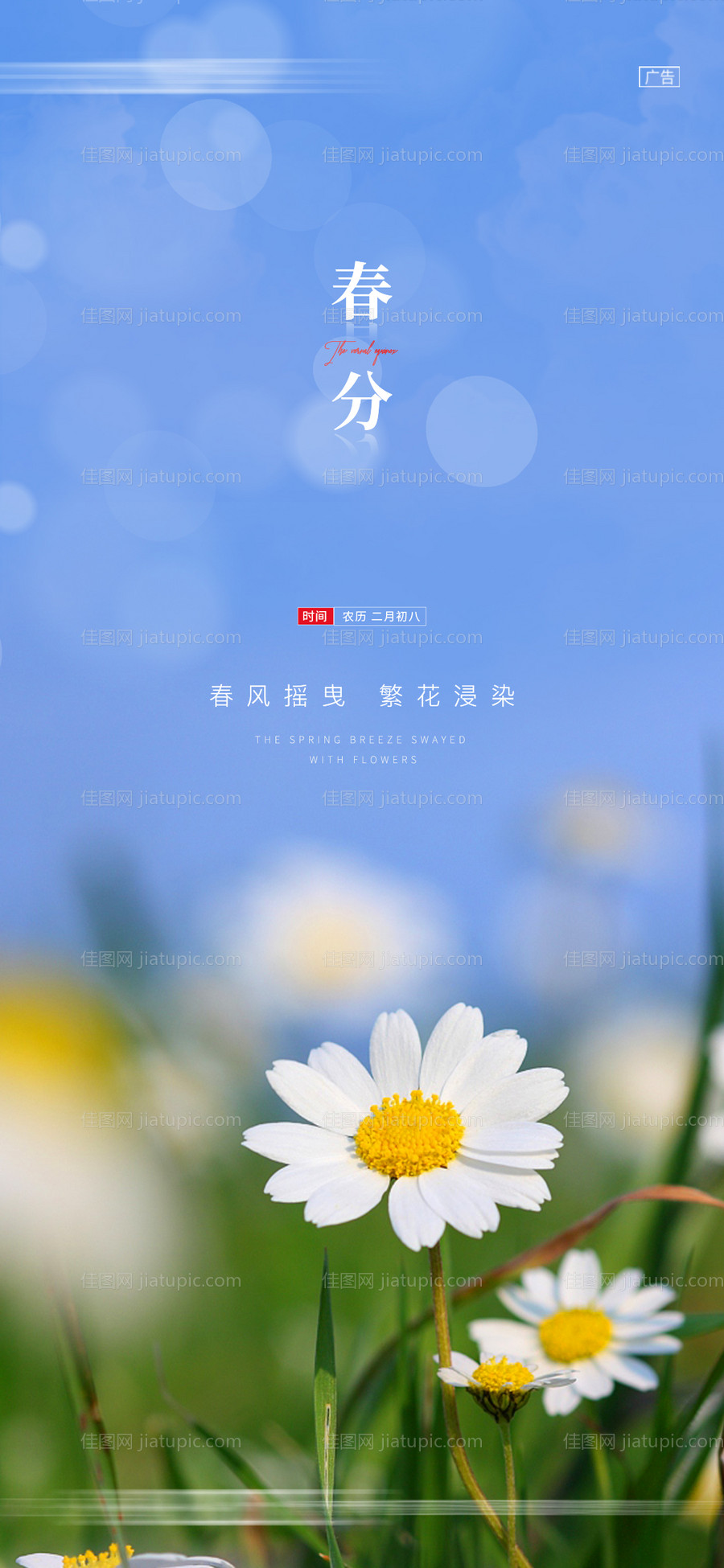 地产春分二十四节气移动端海报-源文件
