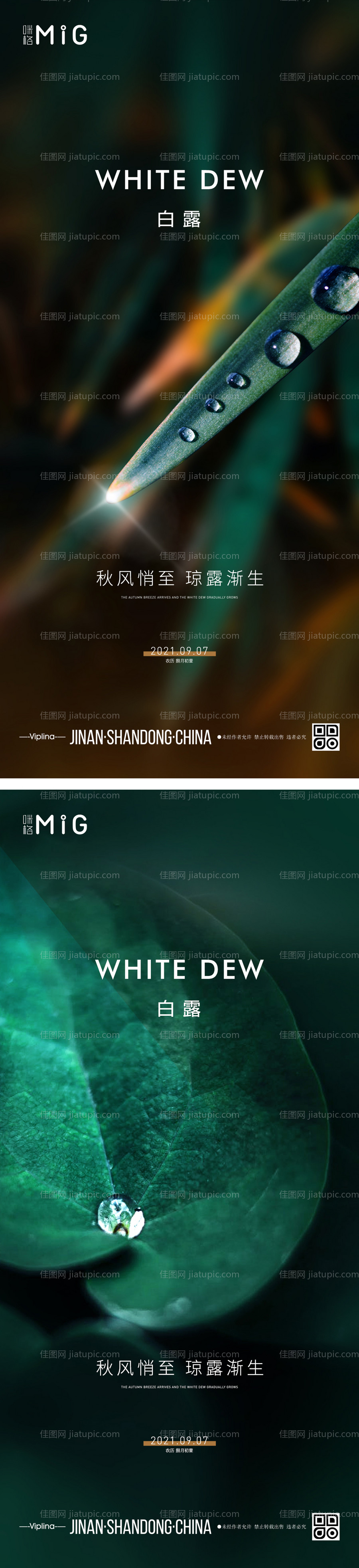 白露系列海报-源文件