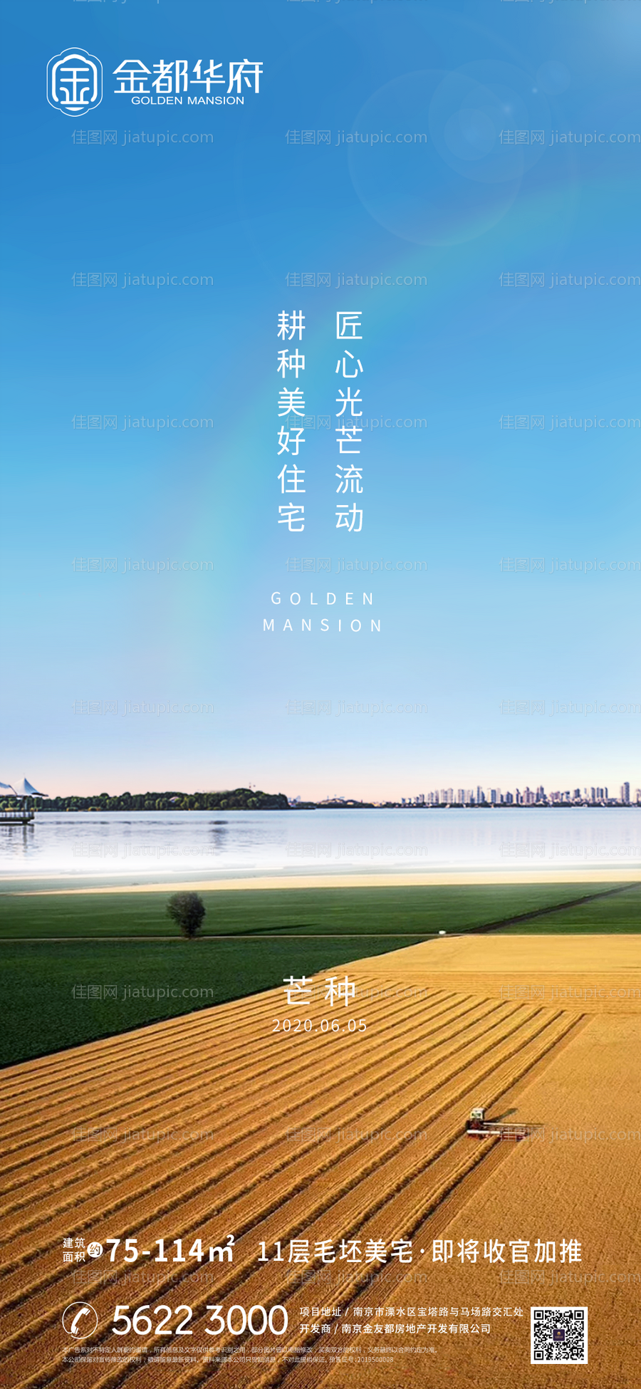 芒种节气海报-源文件