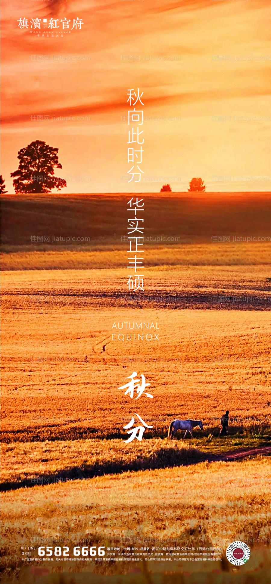 地产田野意境秋分节气海报-源文件