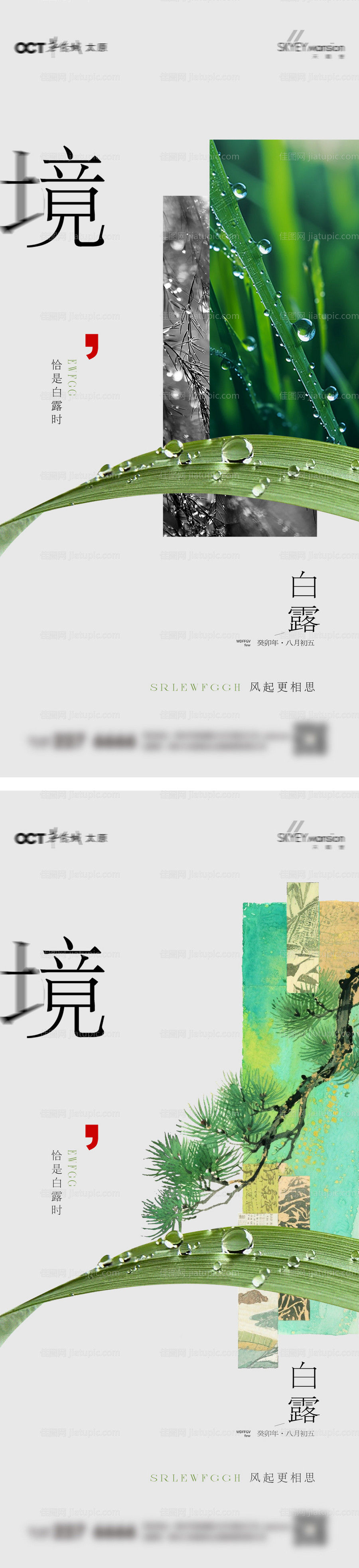 白露系列海报-源文件