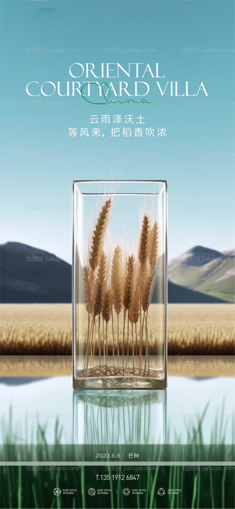 芒种节气海报-源文件