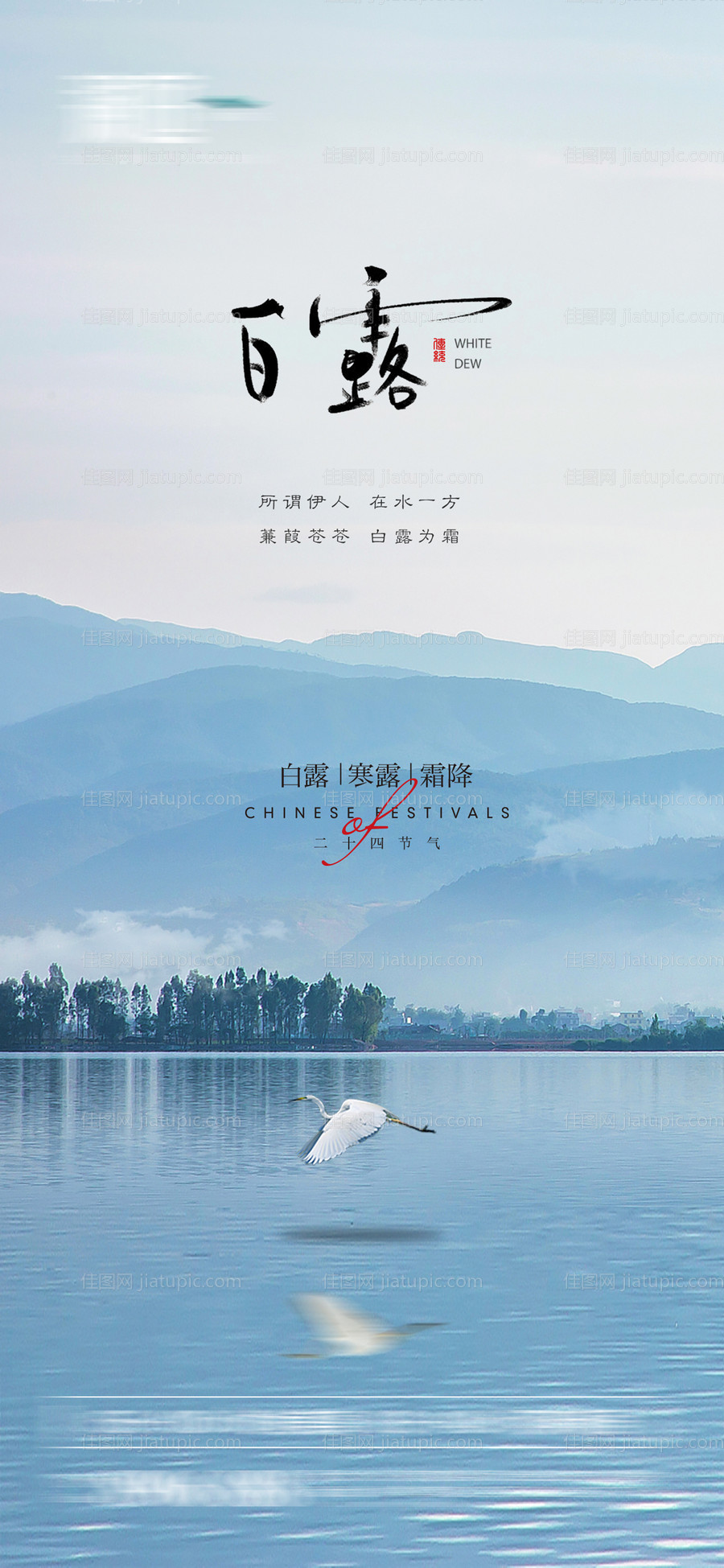 白露海报-源文件