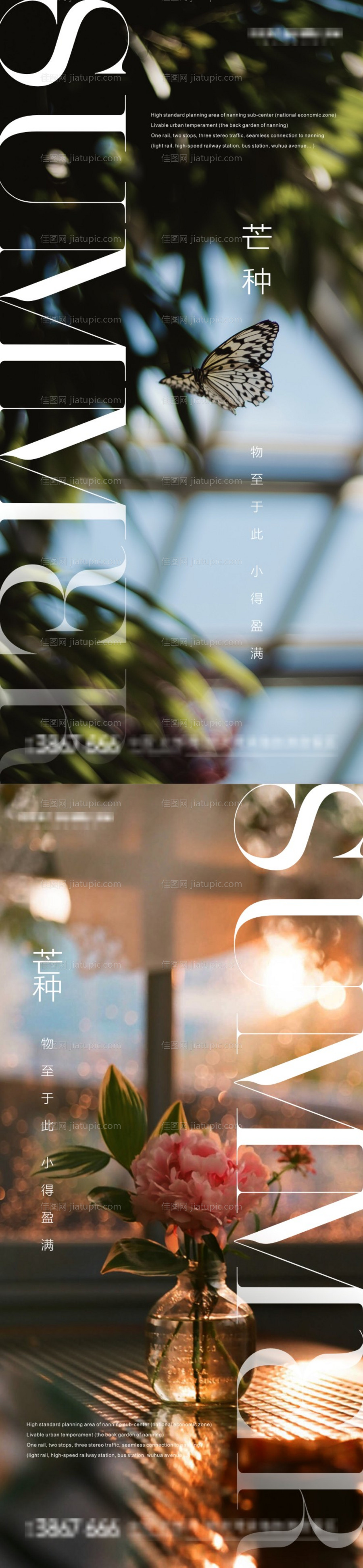 芒种海报-源文件