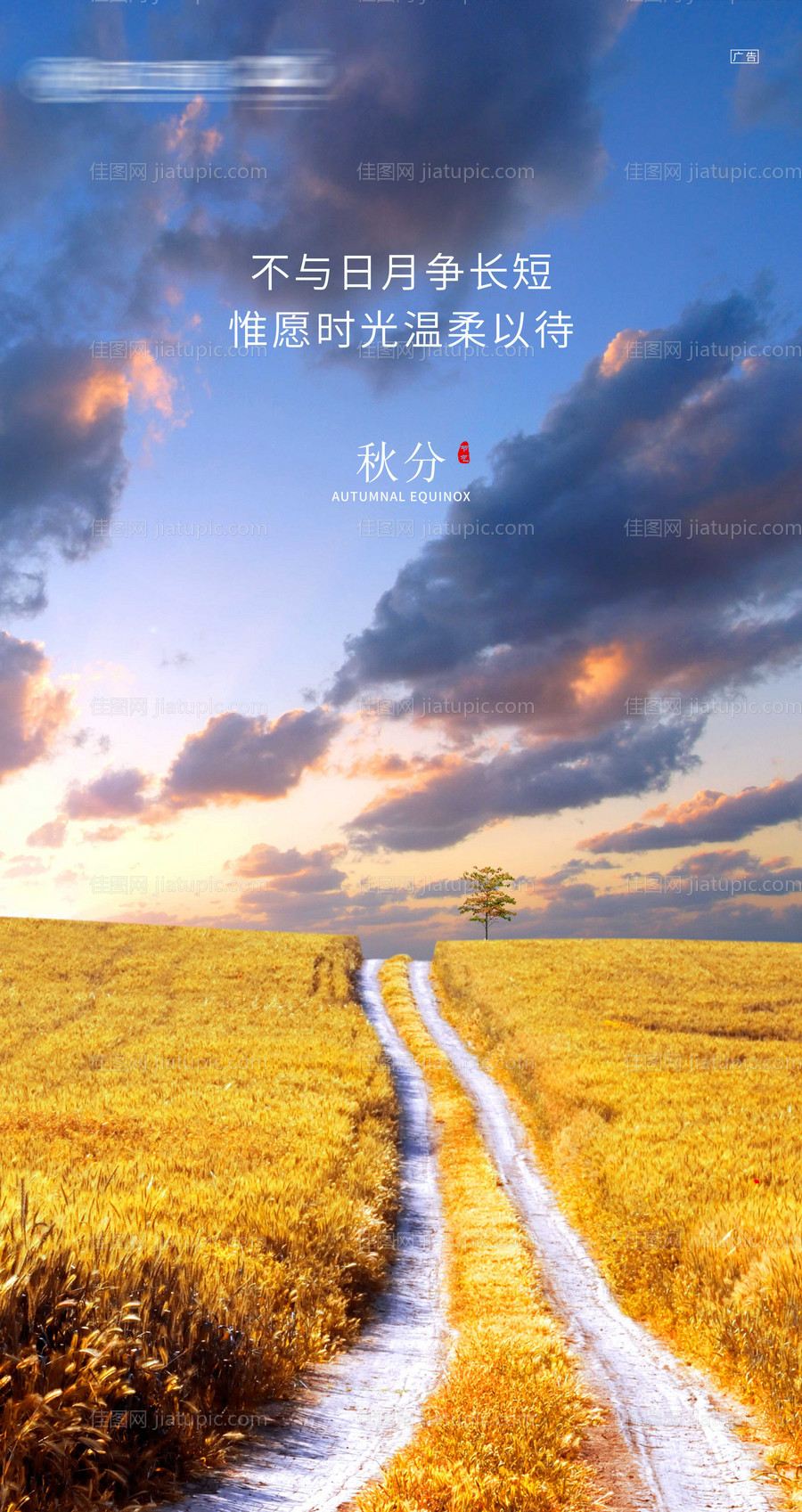 秋分海报-源文件