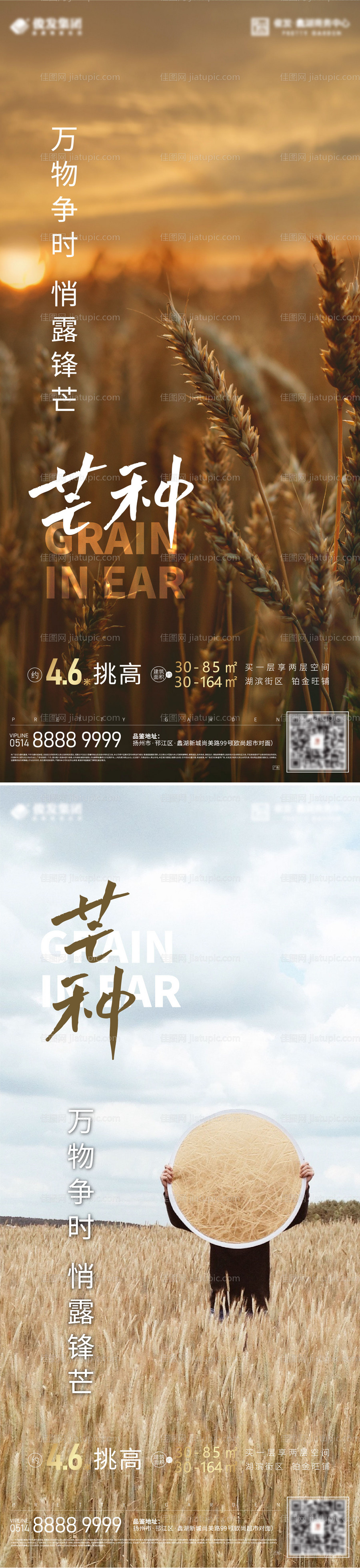 芒种系列海报-源文件