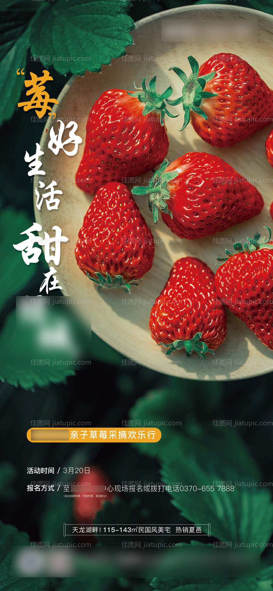 地产草莓采摘活动-源文件