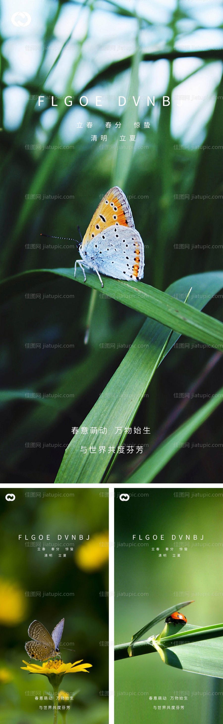 惊蛰立春春分清明立夏系列海报-源文件