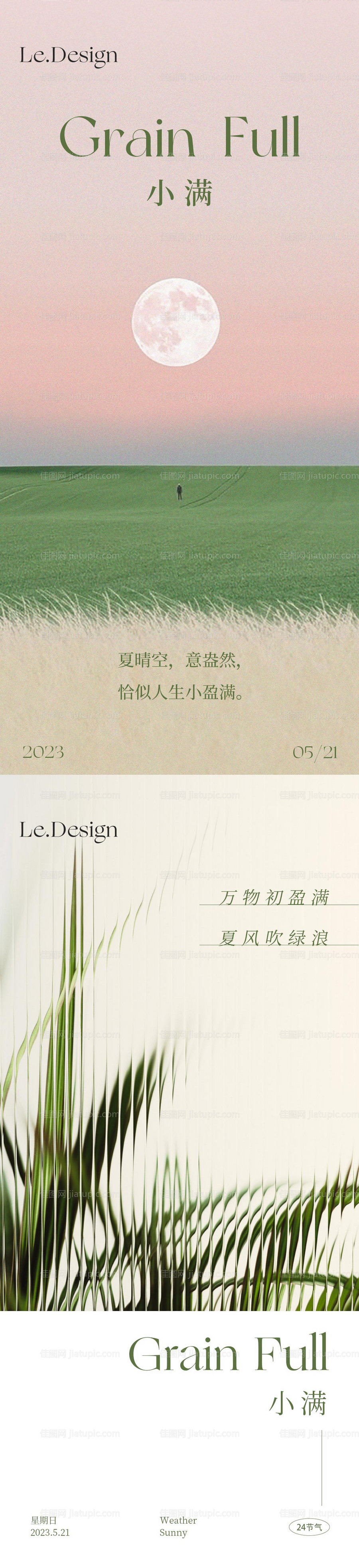 小满简约节气系列海报-源文件