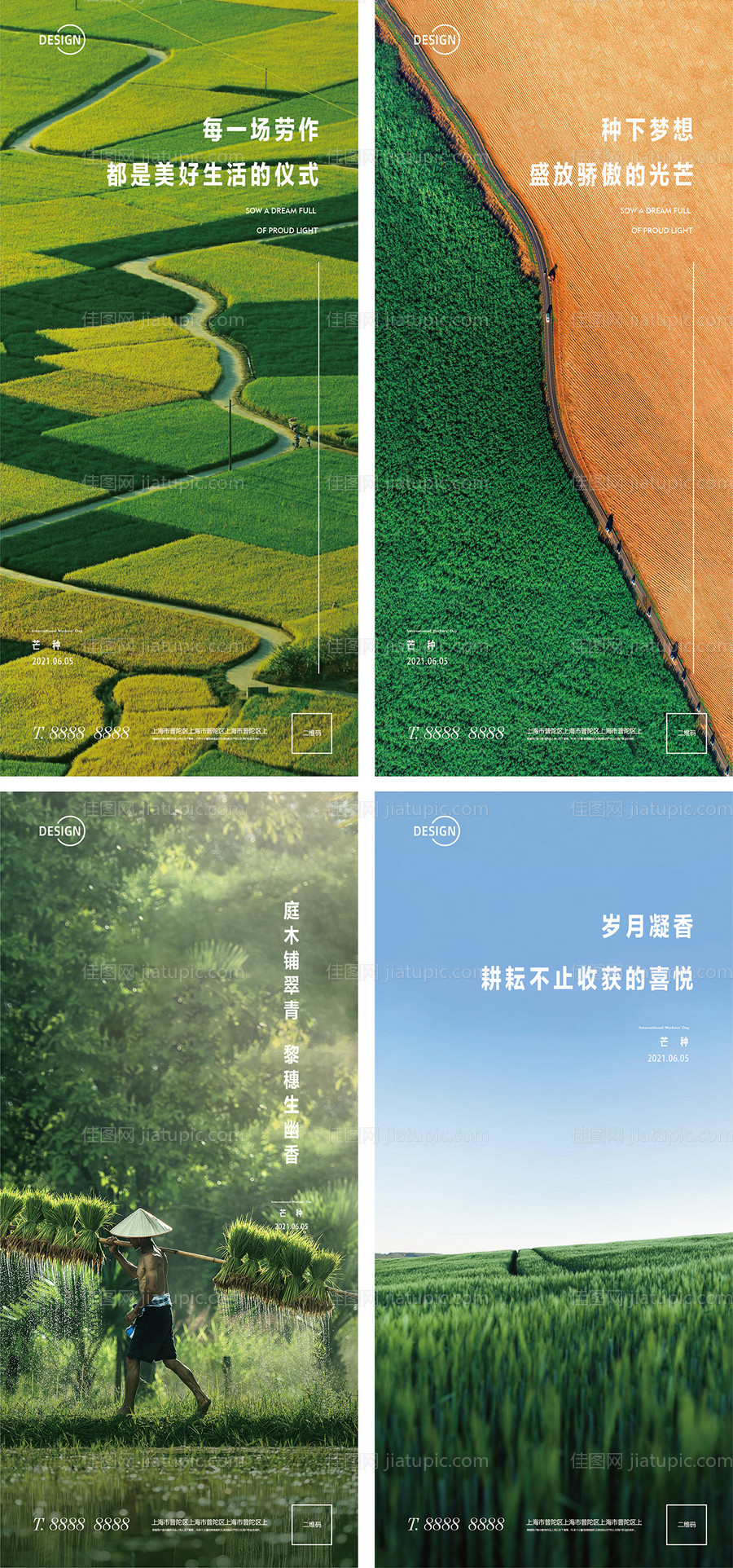 芒种节气海报系列-源文件