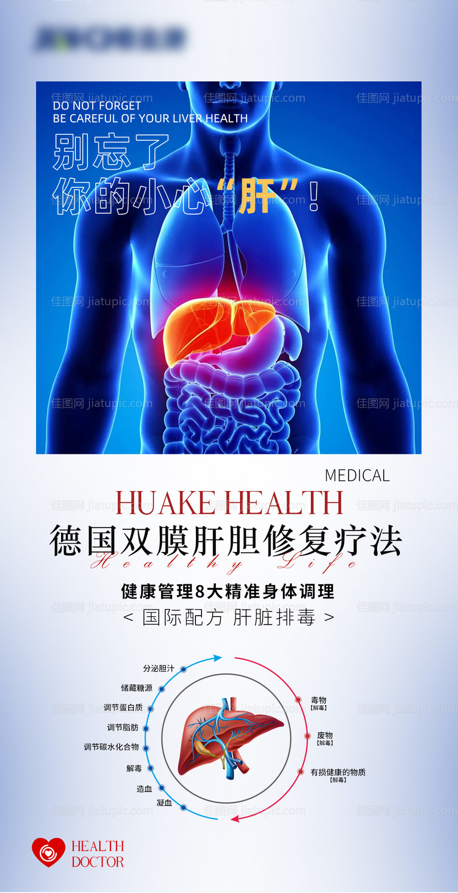 德国双膜肝胆修复疗法医疗海报-源文件