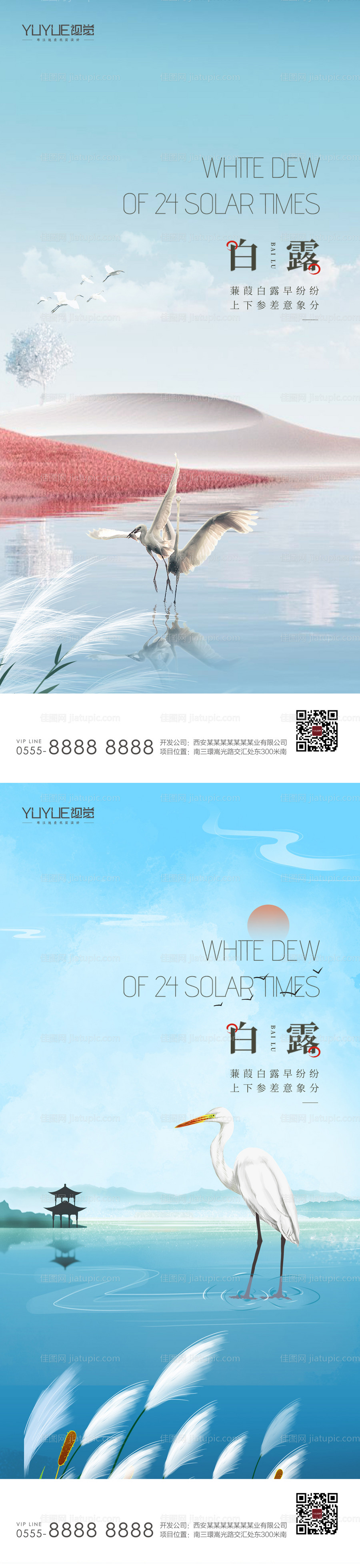 白露节气海报-源文件