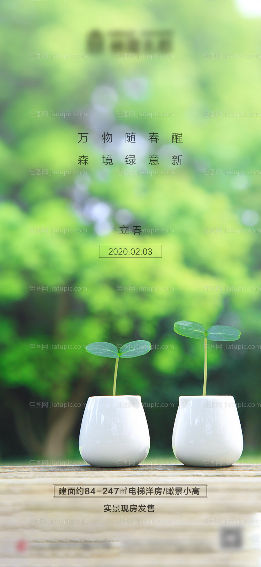 地产立春海报-源文件