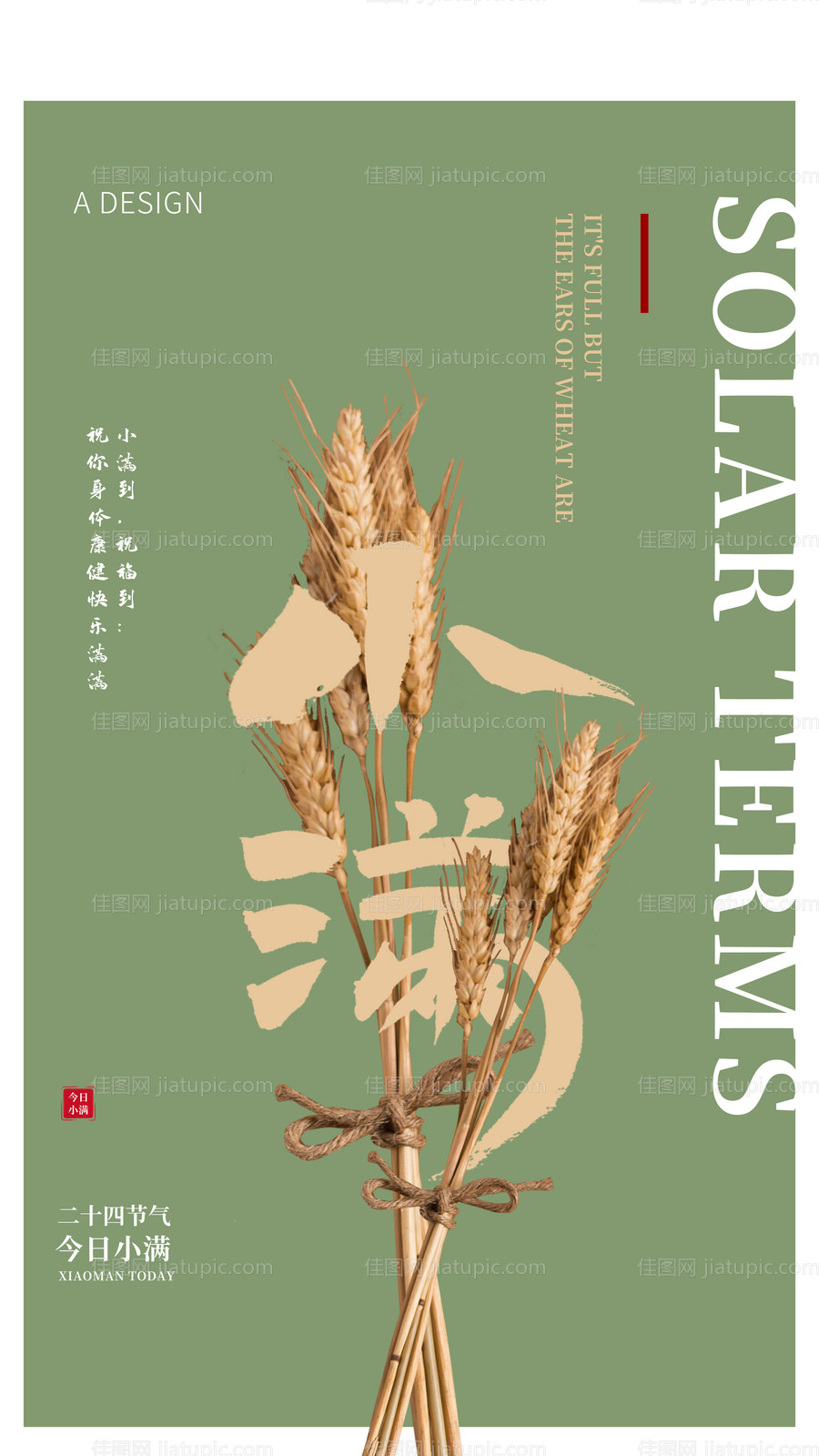 二十四节气小满海报-源文件