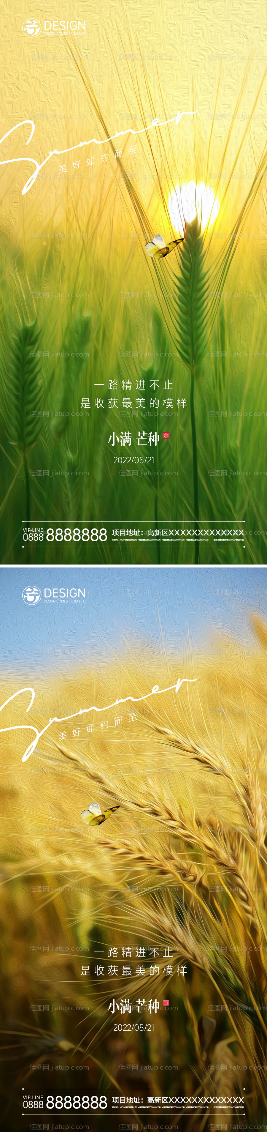 小满芒种节气海报-源文件