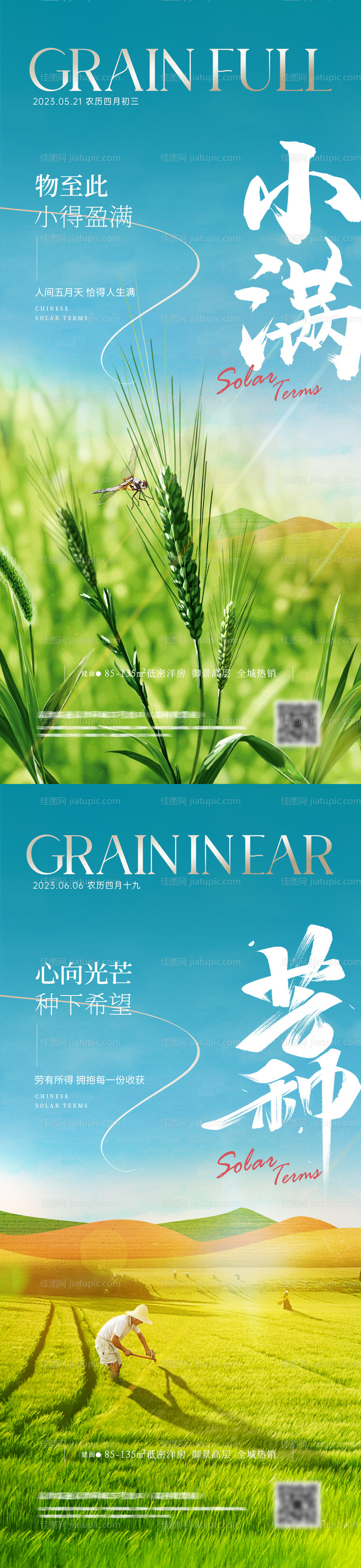 地产小满芒种植物系列海报-源文件