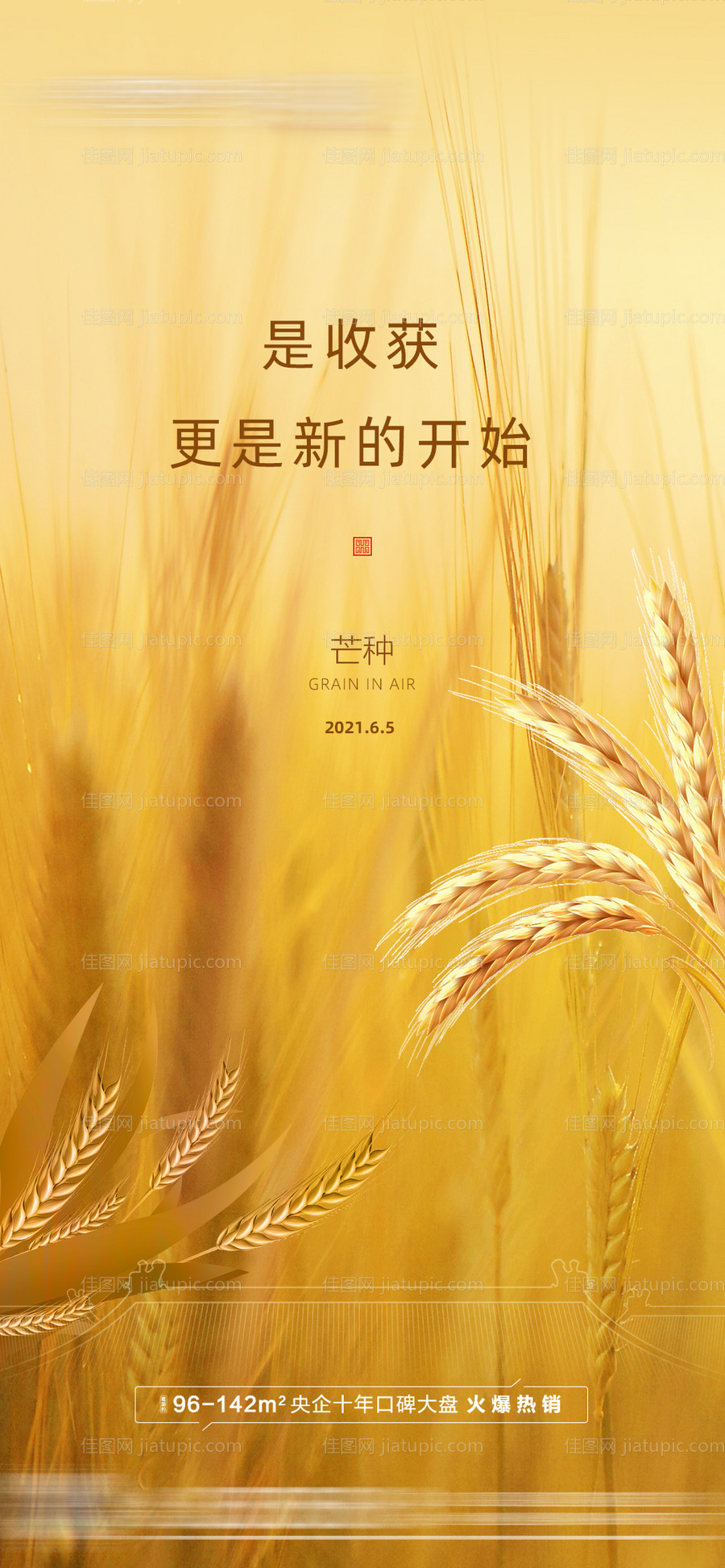 芒种节气海报-源文件