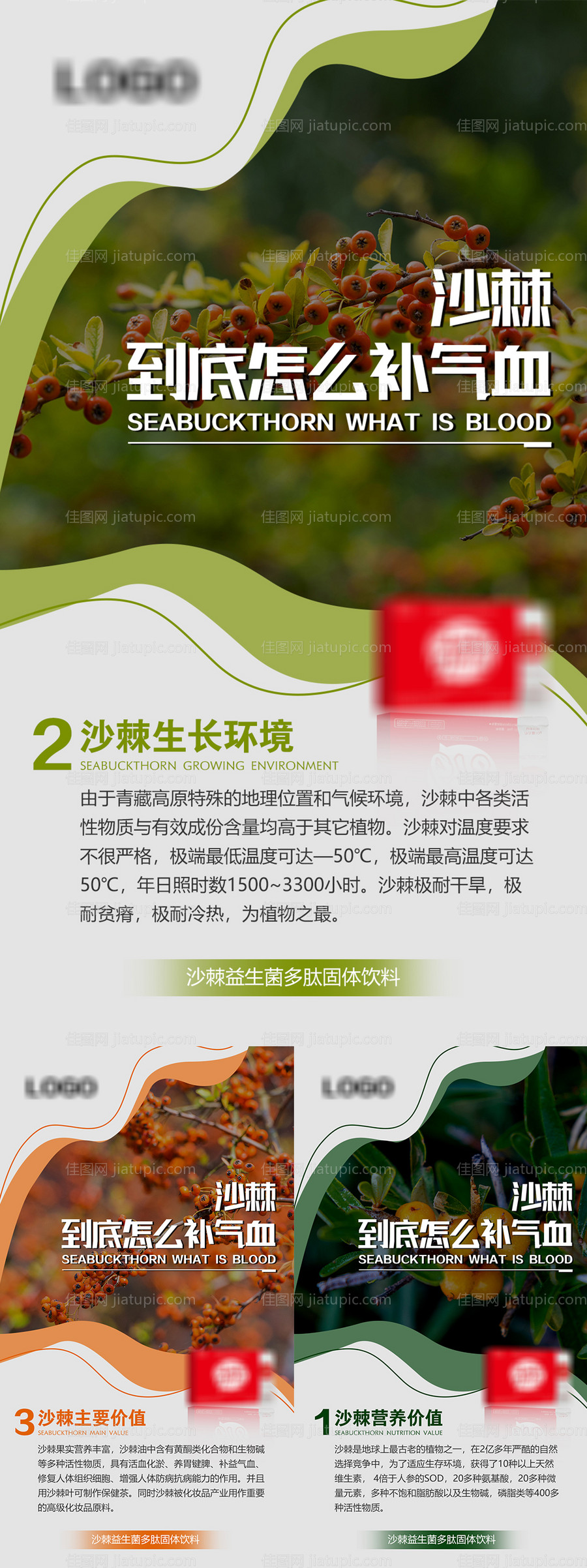 沙棘产品成宣传海报-源文件