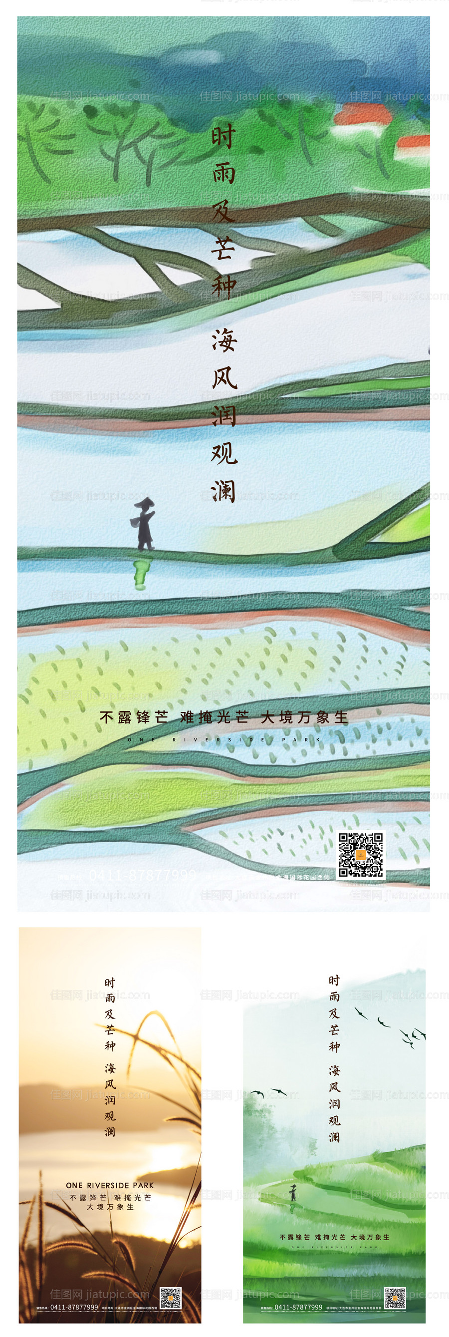 芒种节气移动端海报-源文件