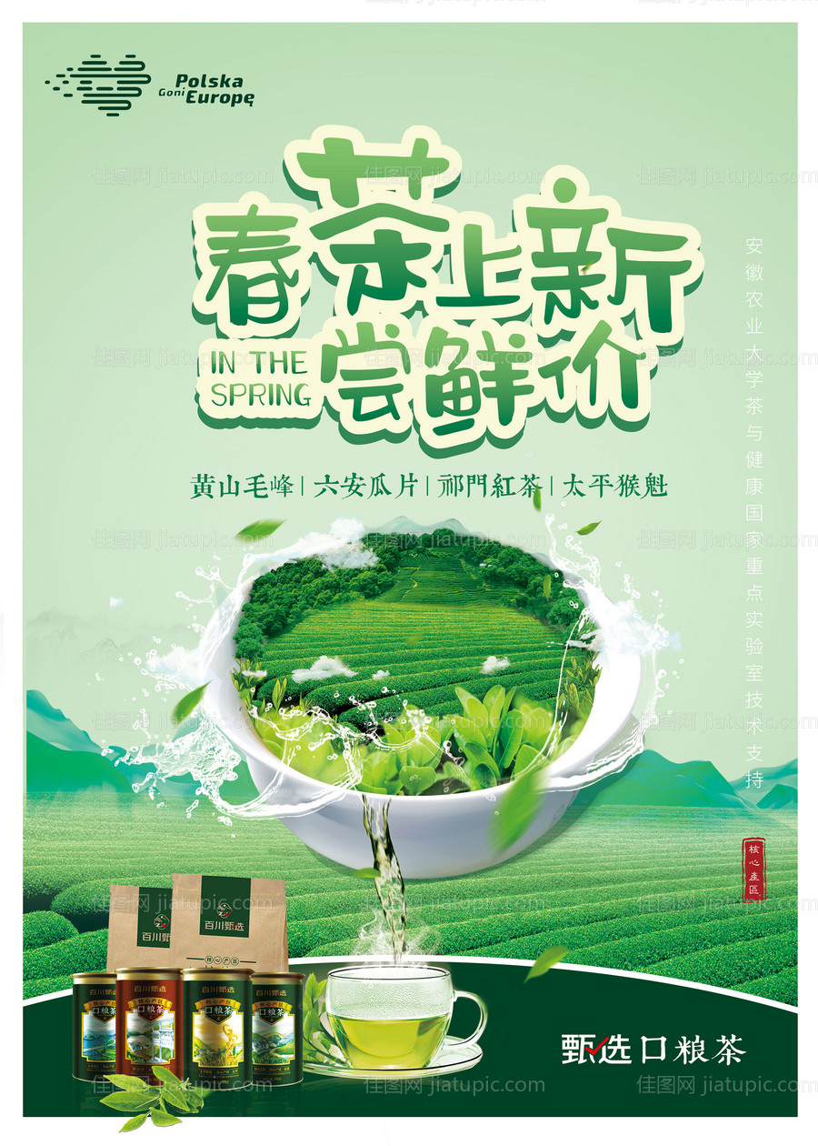 新茶上市海报-源文件