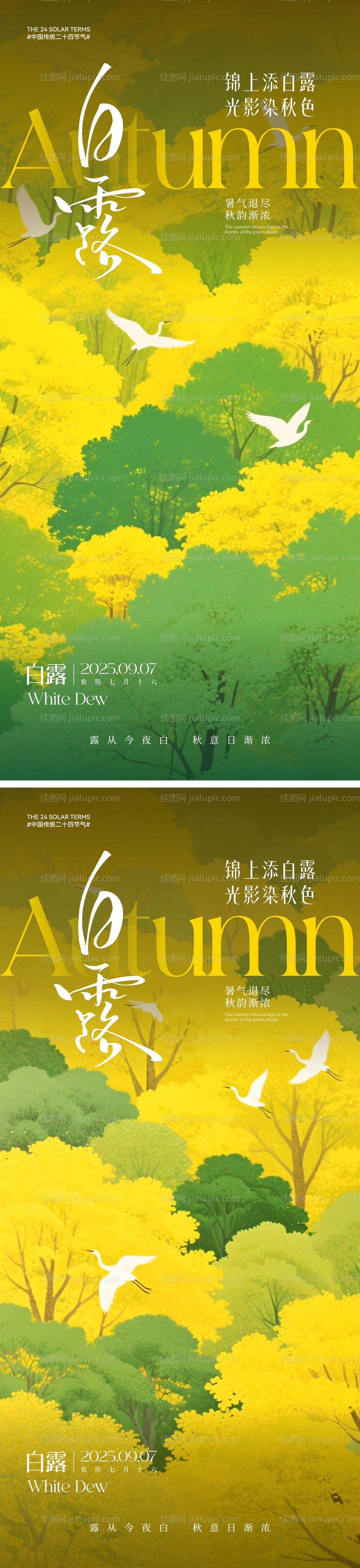 白露节气海报-源文件