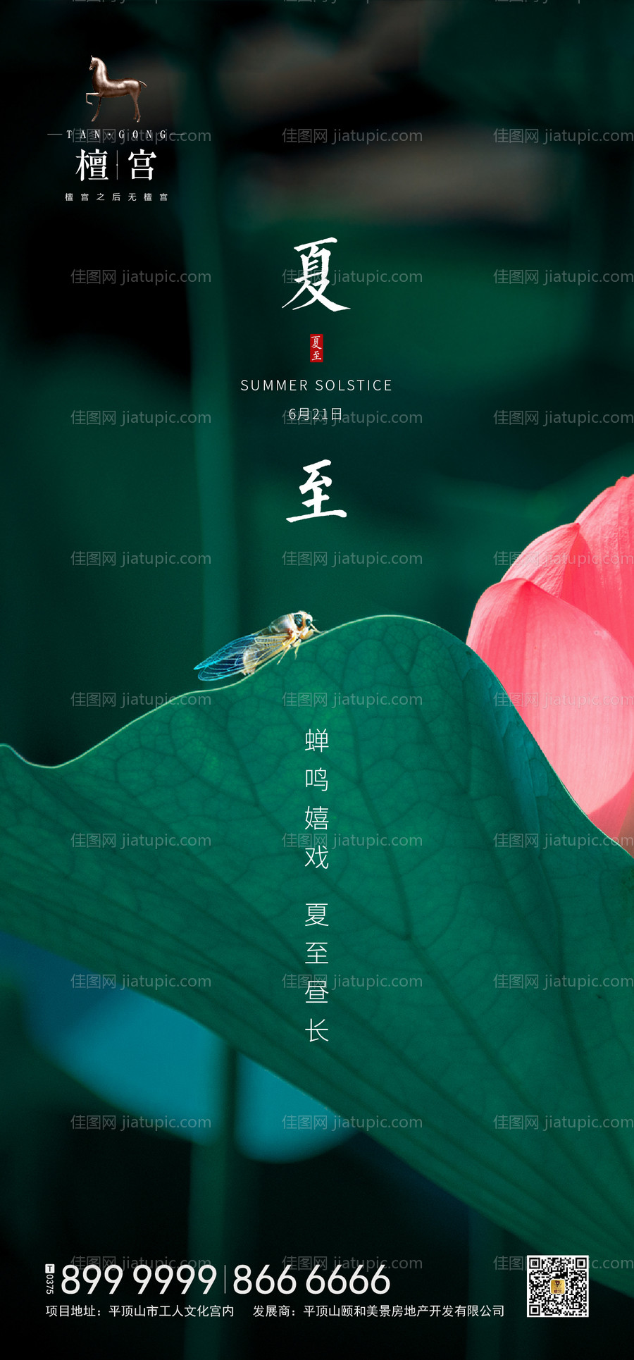 地产夏至节气莲花海报-源文件