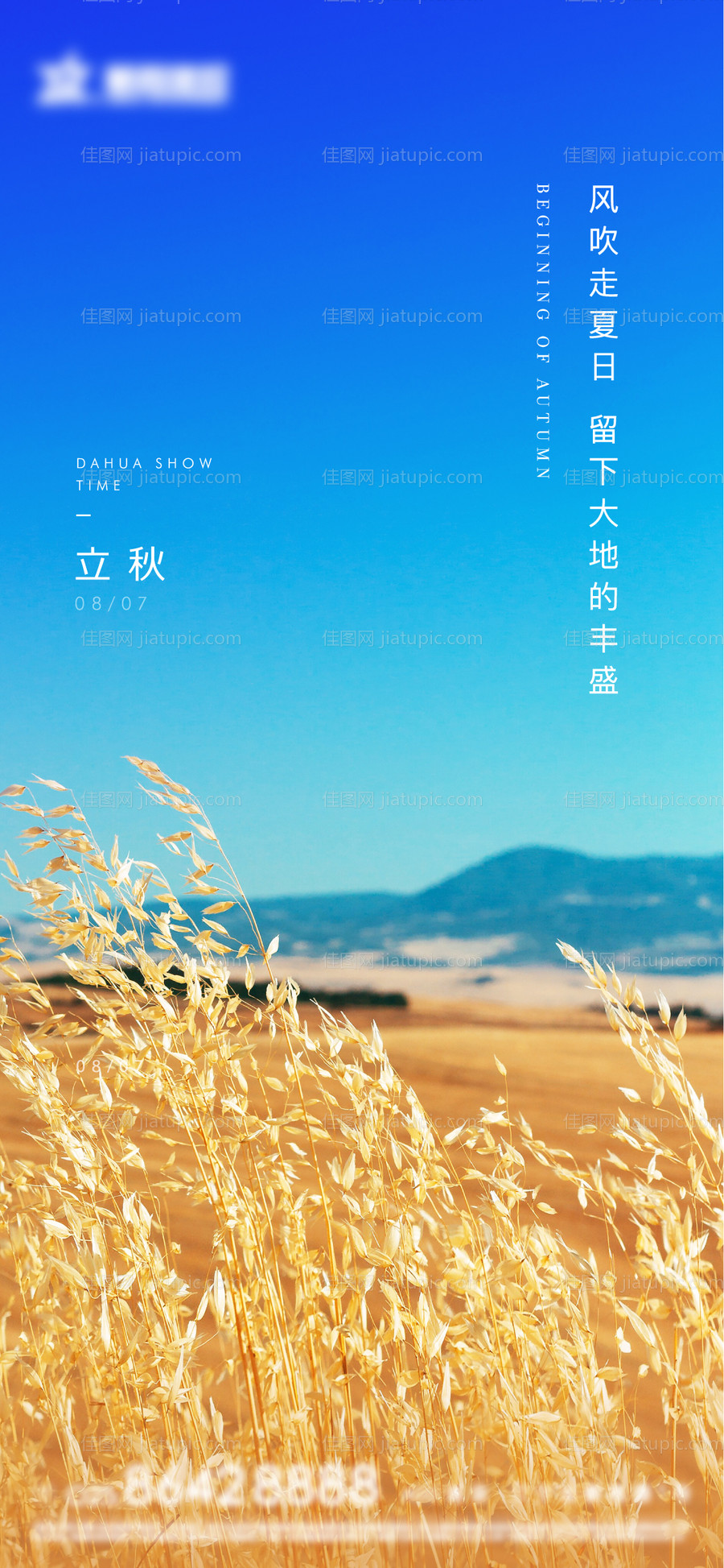 立秋节气海报-源文件