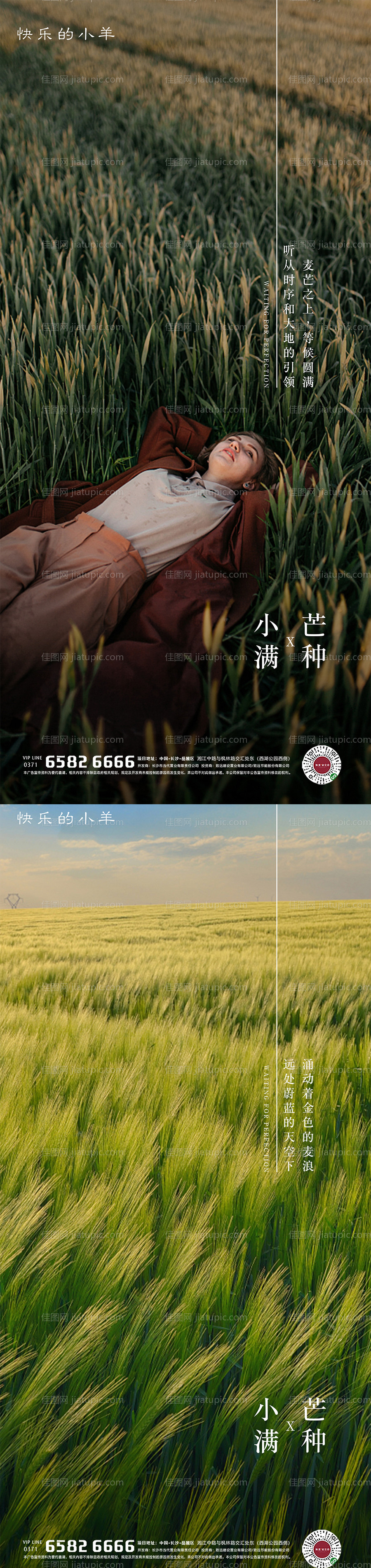 小满芒种节气海报-源文件