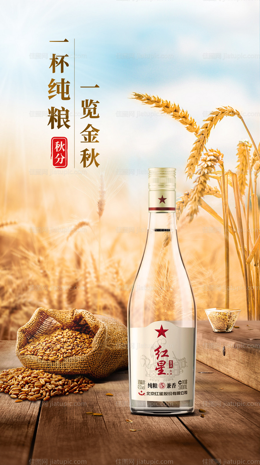 白酒秋分节气海报-源文件