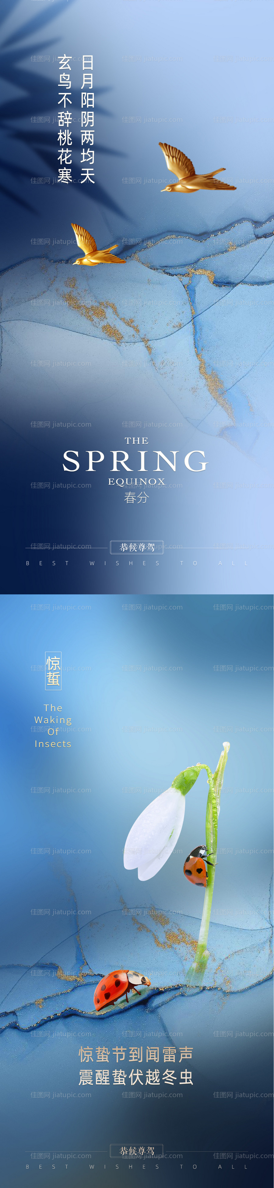 惊蜇春分金燕系列海报-源文件