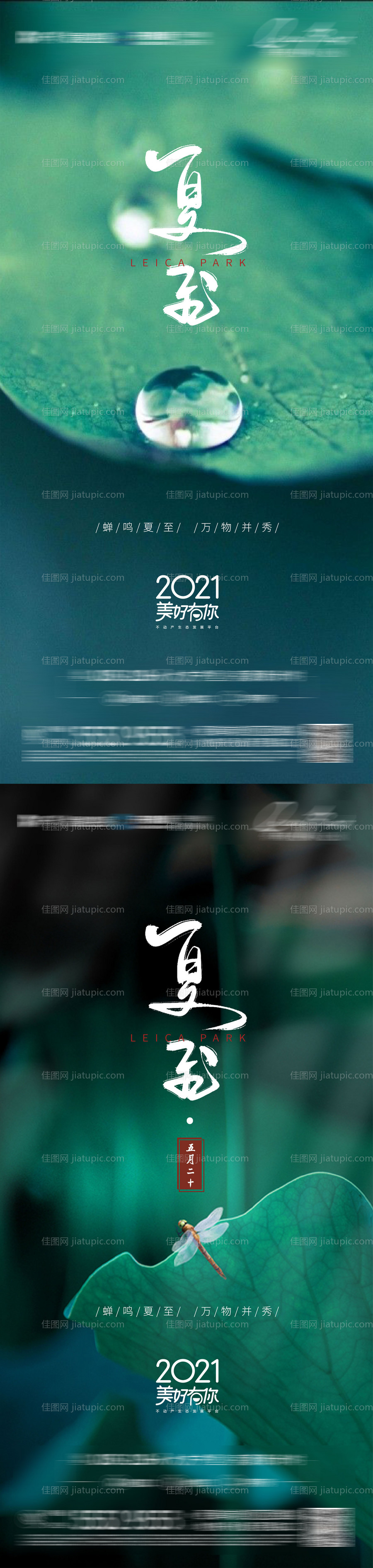 夏至节气单图-源文件