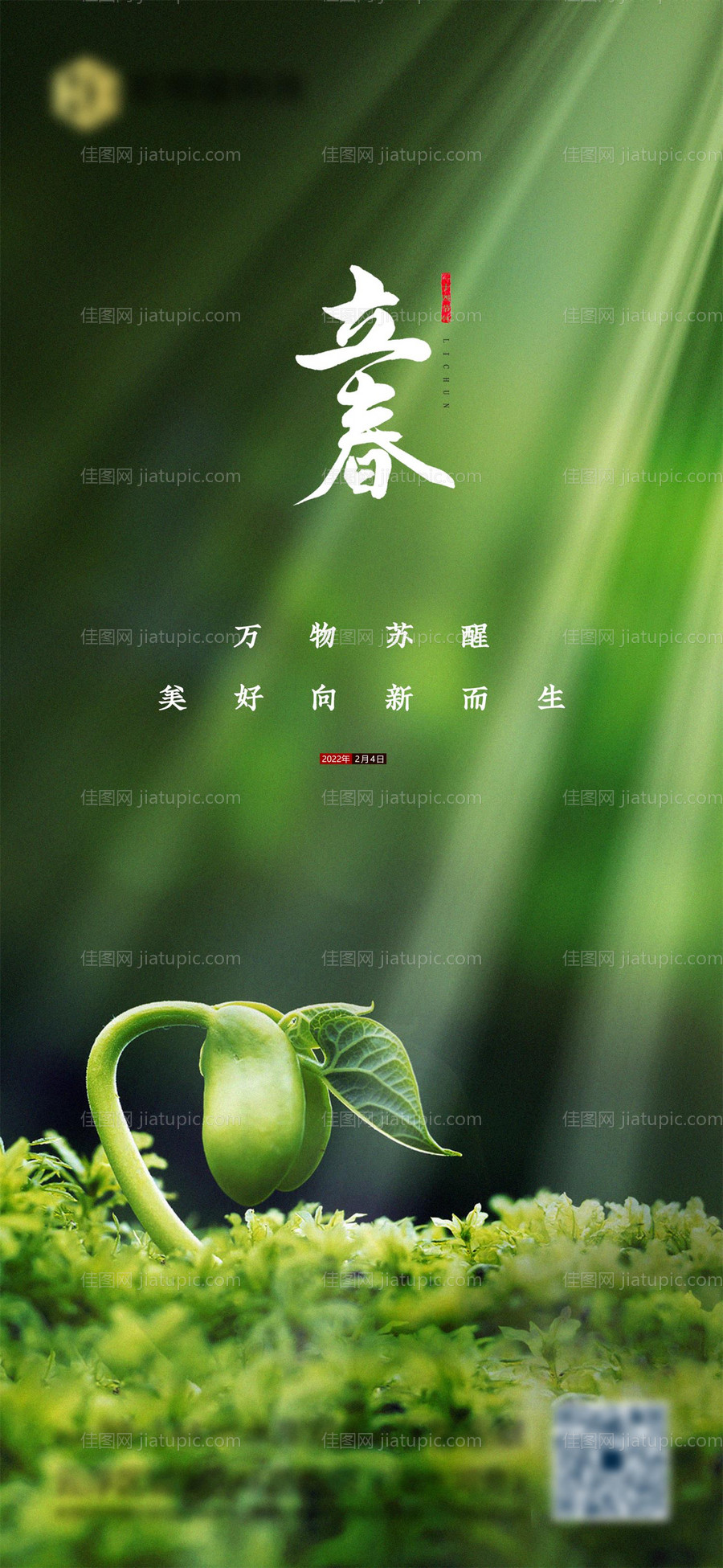 立春节气海报-源文件