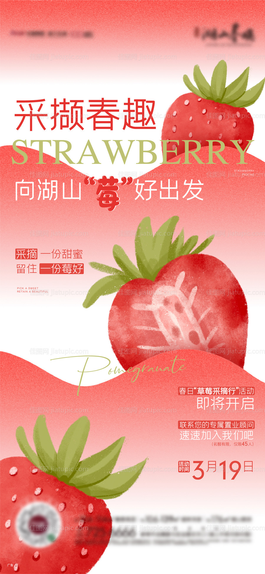 地产草莓活动单图-源文件