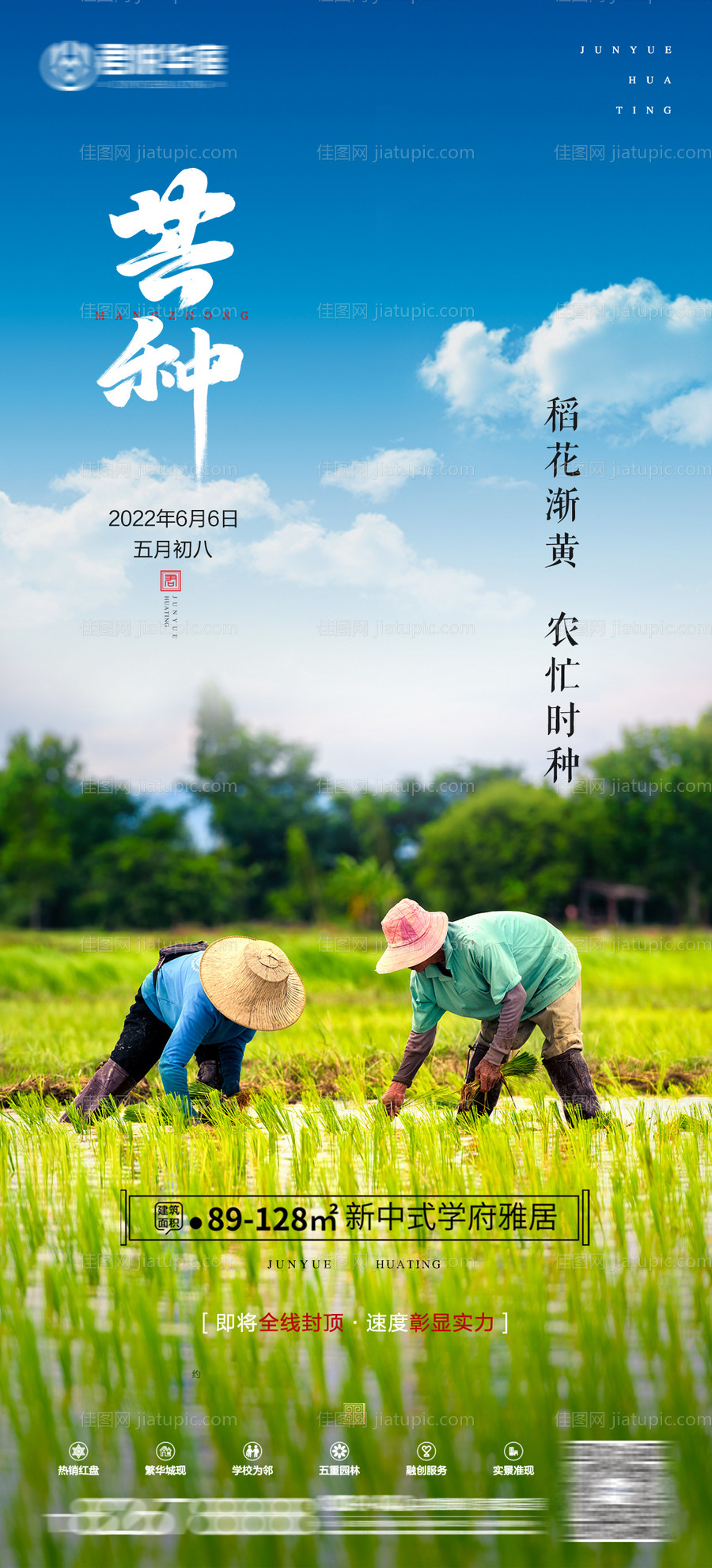 芒种海报-源文件