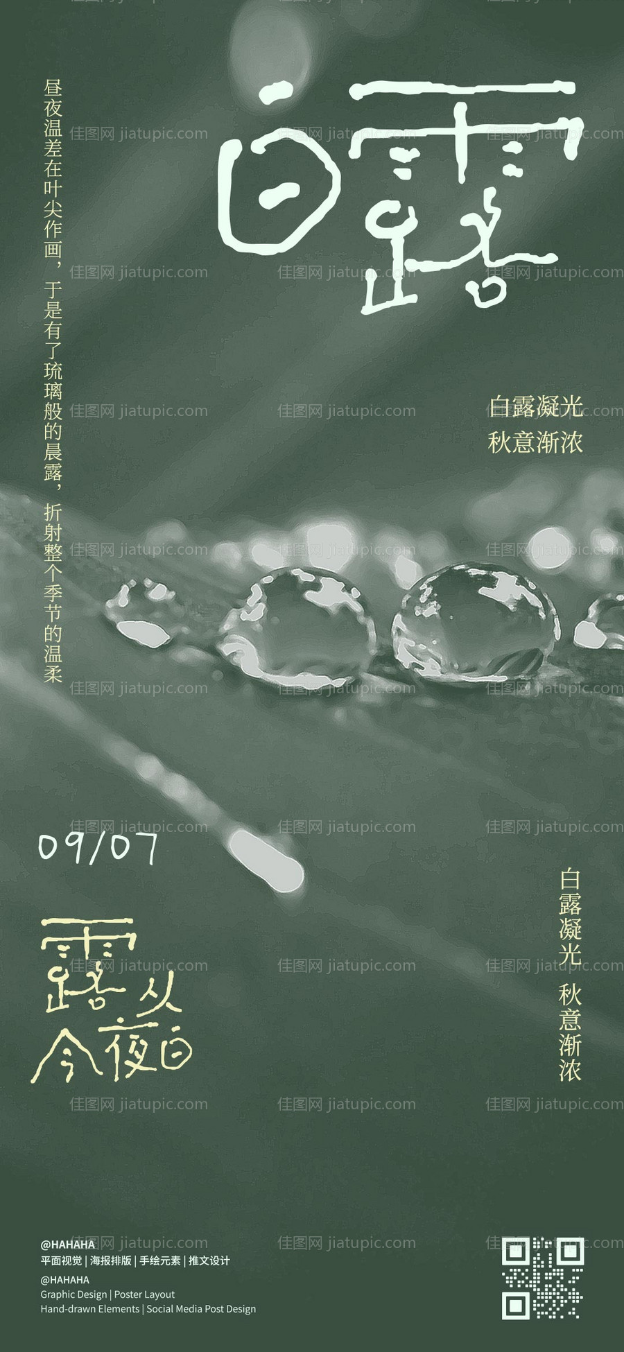 白露节气海报-源文件