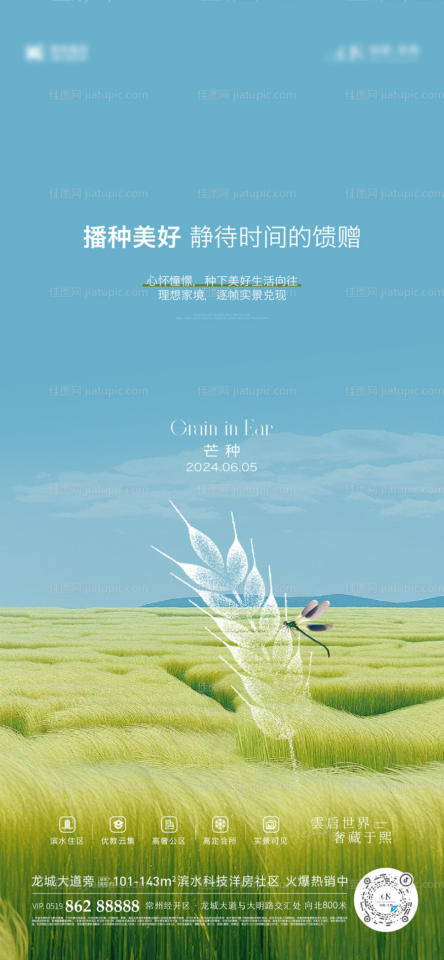 芒种节气刷屏-源文件