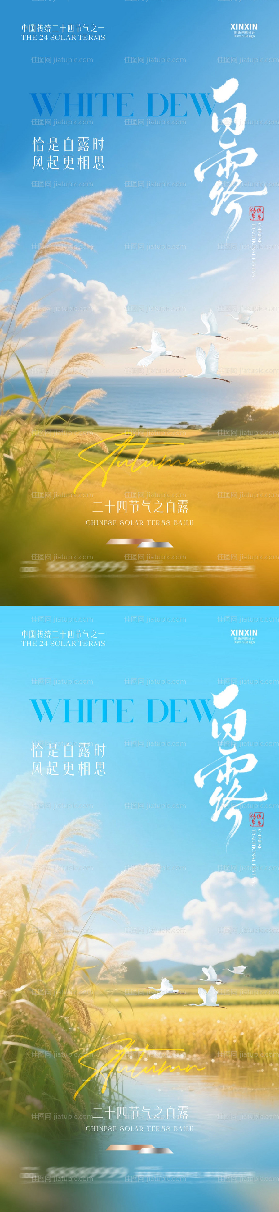 地产白露芦苇风景摄影海报-源文件