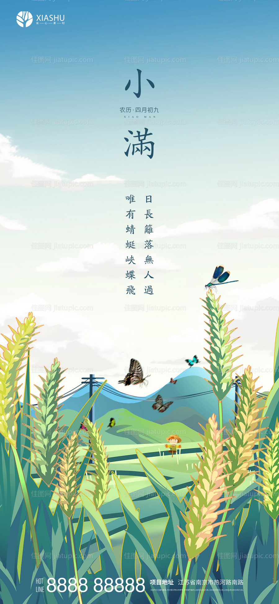 小满节气海报-源文件