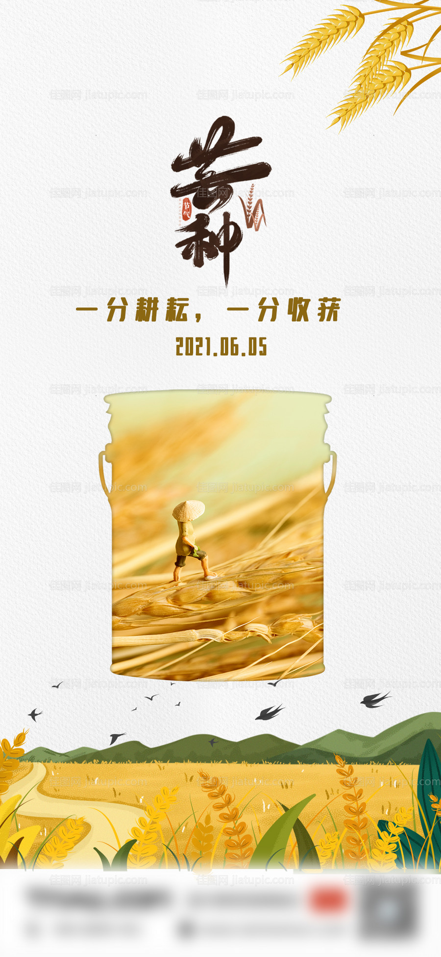芒种节气海报-源文件