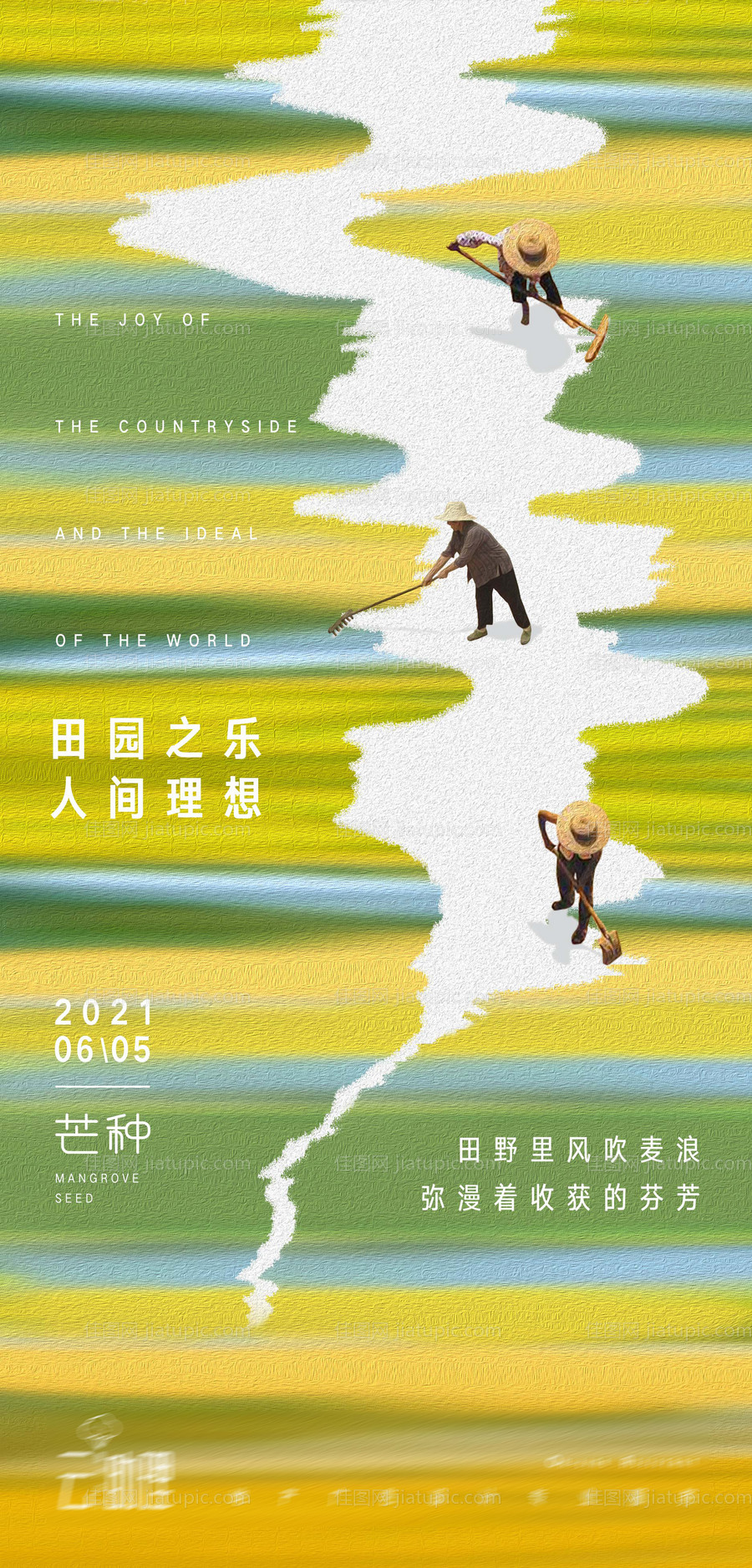 芒种节气海报-源文件